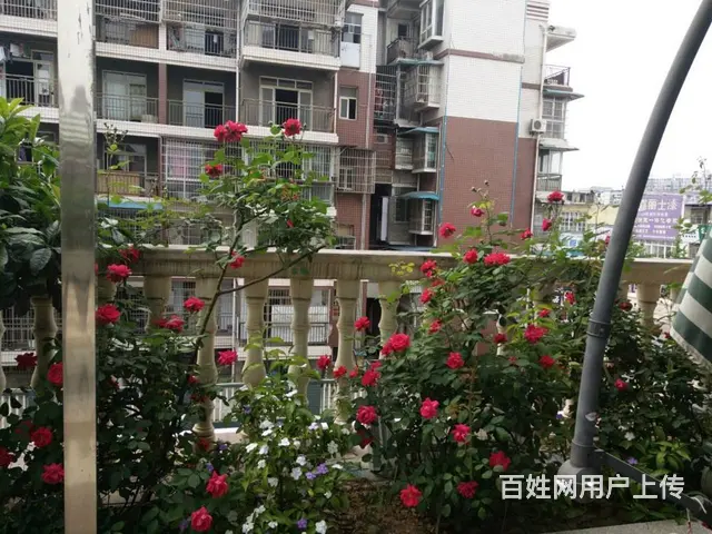 精装修酒店 - 图片 7