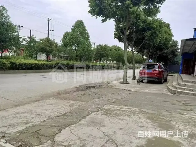 绵竹板桥复兴村3800平厂房出租 - 图片 2