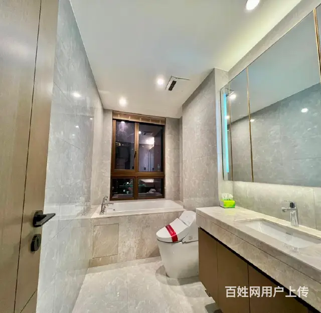 河滨公寓精装3房利兹城市公寓东河春晓凤起苑凤起商务大厦带车位 - 图片 8