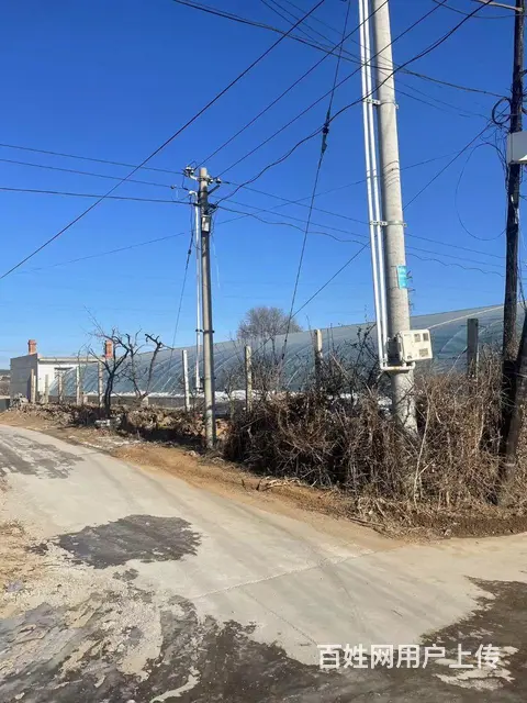出租出售正房五间和蔬菜大棚 - 图片 4