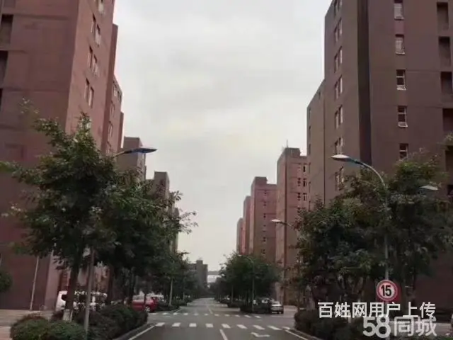 巴南界石曙光江南都市工业园1244平米标准厂库房出租，配套齐 - 图片 3