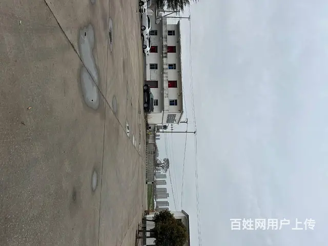 （城市在线找房免费）金山桥杨山路东大黄山附近标准厂房出租 - 图片 5