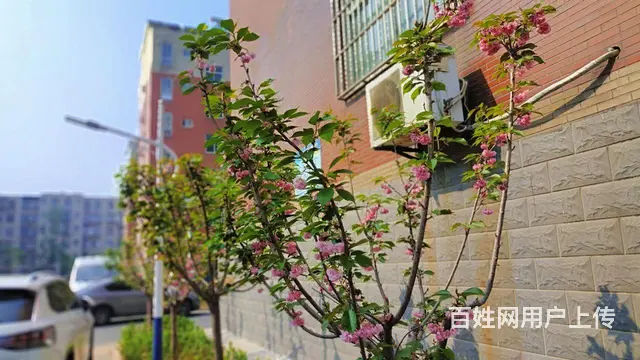首富壹W！百盛花园108平 三室两厅 67万 - 图片 2