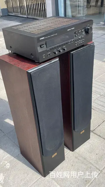 丹麦原装进口至尊发烧音箱，双6.5寸低音音质非常好 - 图片 11