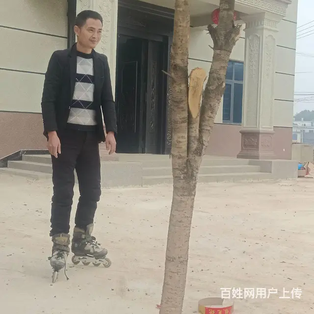 单身哥哥找女朋友 - 图片 4