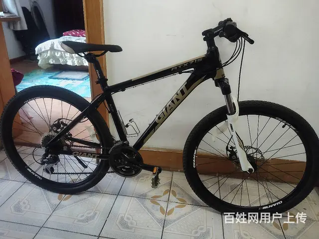 捷安特山地车 - 图片 1