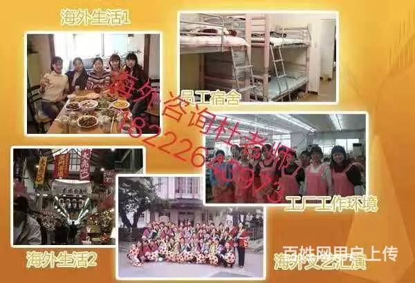澳洲直招 （无费用）年薪60万华人雇主担保工签 - 图片 2