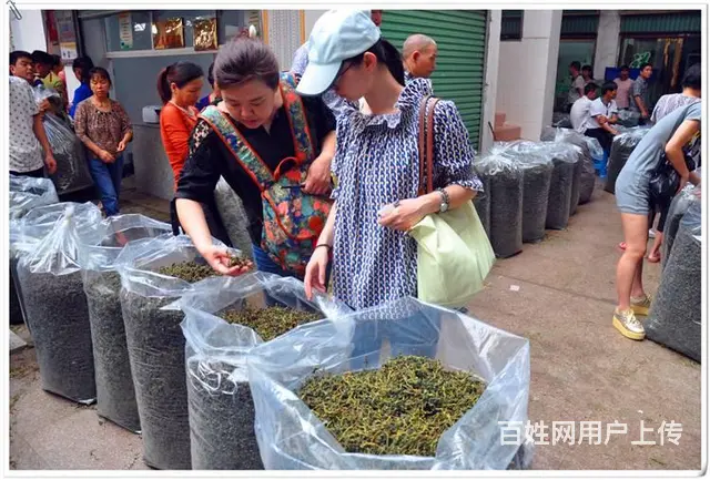 学茶艺哪里有培训 - 图片 9