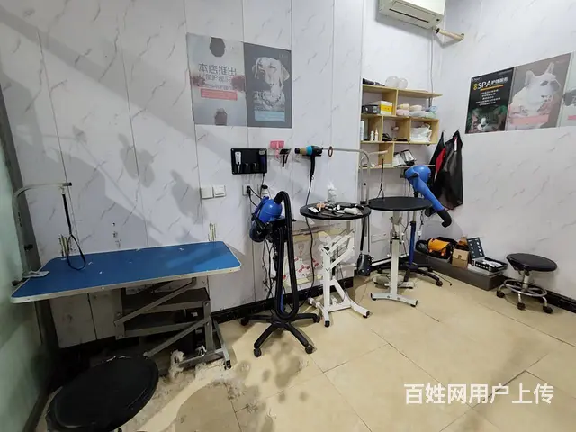 和平区南八马路高端宠物医院出兑 - 图片 6