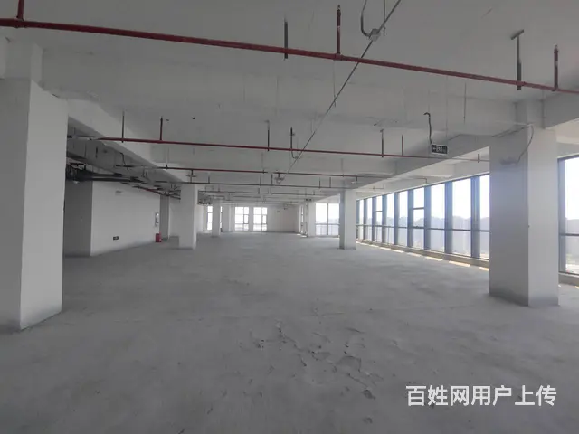 金龙湖地铁口1000平明阳广场一手纯办公现房 - 图片 6