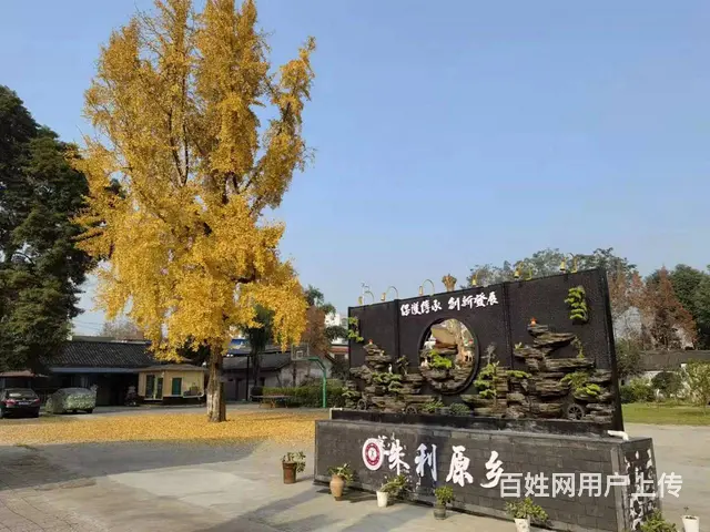 10000平米场地诚招合作（或出租） - 图片 2