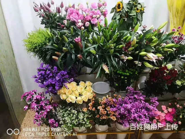 7640(七P)个人大通区桥头临街旺铺芸洋花店对外低价转让 - 图片 7