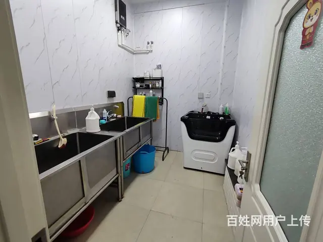 和平区南八马路高端宠物医院出兑 - 图片 10