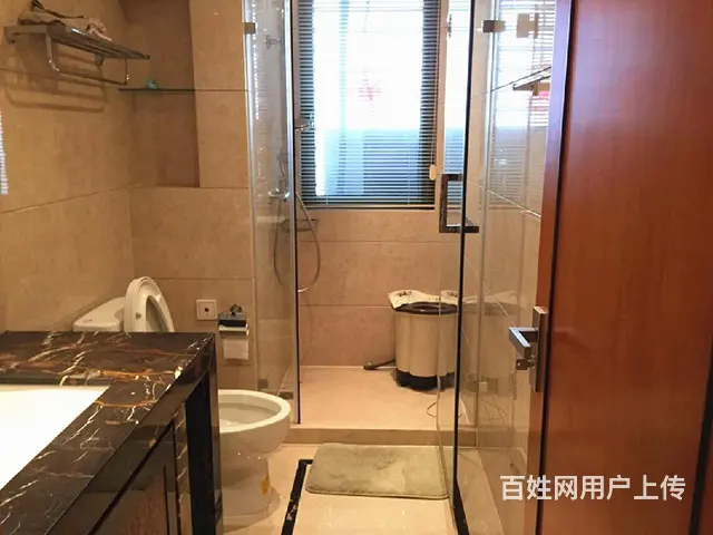 西湖文化广场绿洲花园精装2房杭州大厦打铁关深蓝广场武林国际 - 图片 6