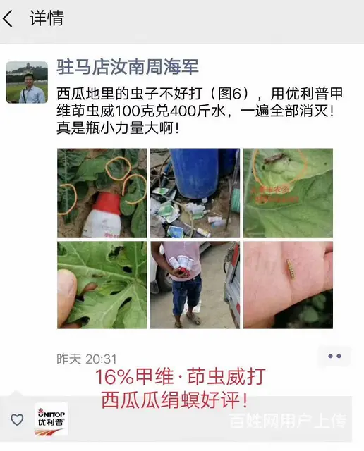 16%甲维茚虫威小菜蛾青虫吊丝虫杀虫剂稻纵卷叶螟 - 图片 11
