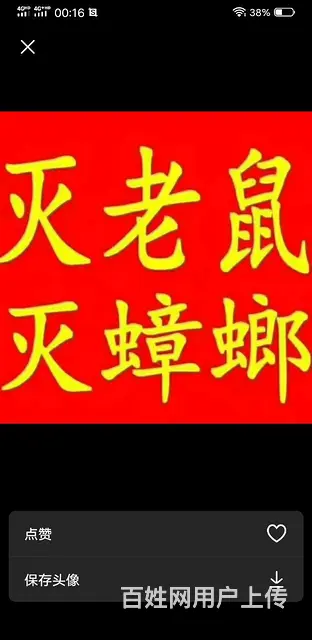 灭四害除甲醛 - 图片 2