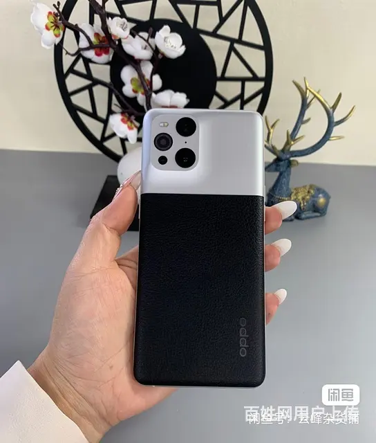 【搞定了！】OPPO fandx3 摄影师限量版 - 图片 1