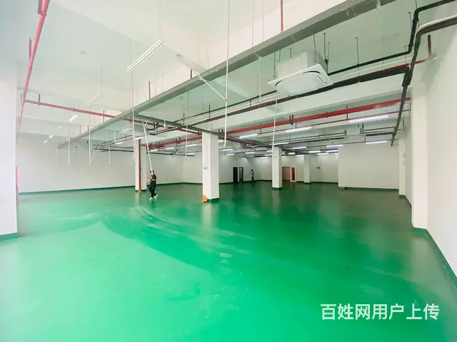 高新区厂房出租，配套齐全，各种补贴 - 图片 8