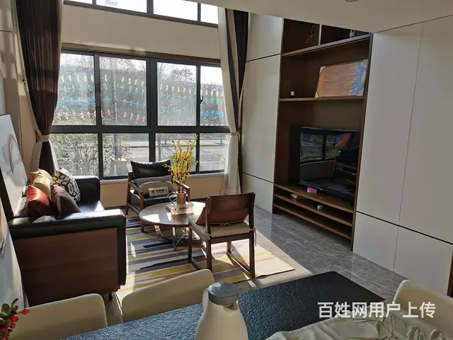 捡漏价渠道滁州公寓星荟城轻轨站复式双层通燃气 - 图片 3