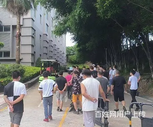 叉车证哪里考、叉车考证地址 - 图片 2