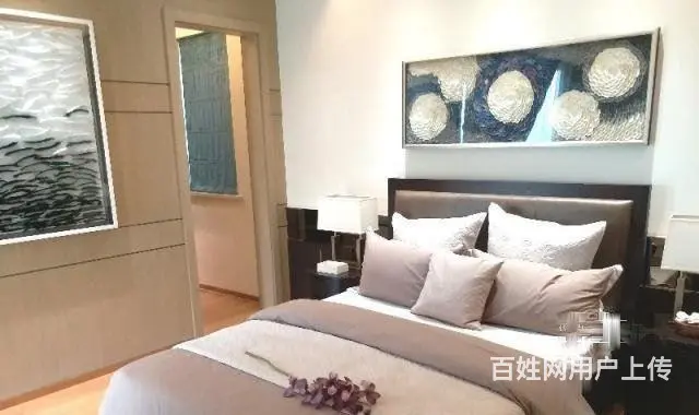 拉斐尔庄园廻峰庄园双拼联排边户别墅送地下室花园菜地 - 图片 1