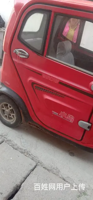 老年代步车 - 图片 2