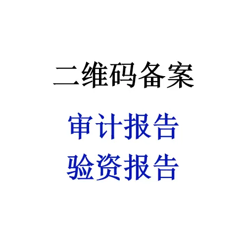 23年投标审计报告多少钱 - 图片 3