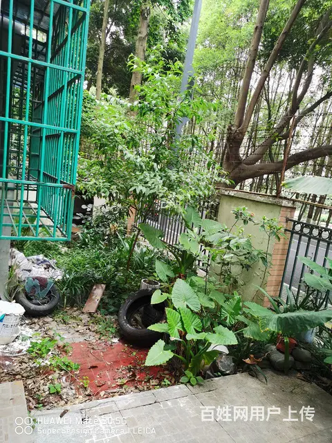 银都一楼带车位前后花园出售 - 图片 11