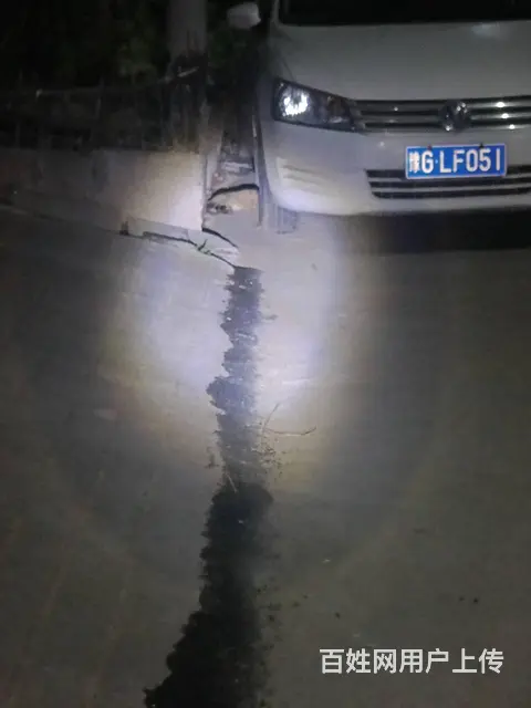 猫咪丢失怎么办，爱宠救援家教你如何快速找回丢失的猫 - 图片 3