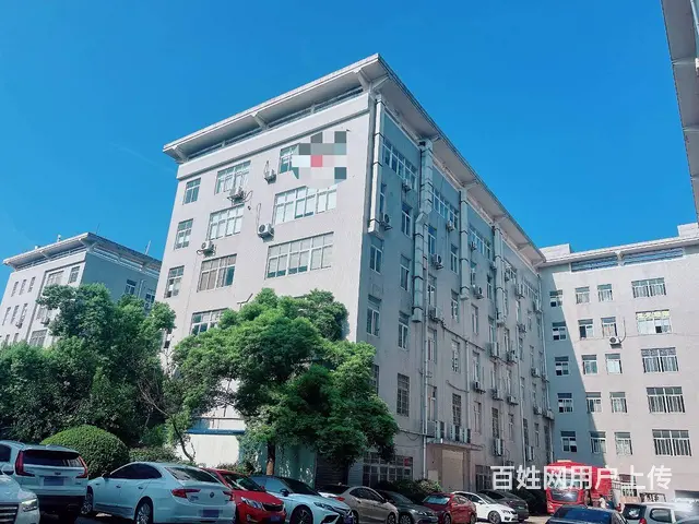 （老板本人）麓谷国际工业园精装修办公楼/仓库出租,可出售 - 图片 2
