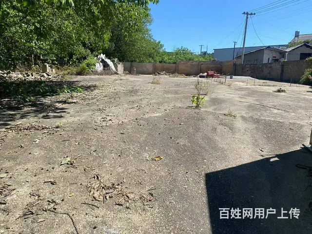 （房东直租）恒广107国道旁1000平米独院硬化场地优价出租 - 图片 3