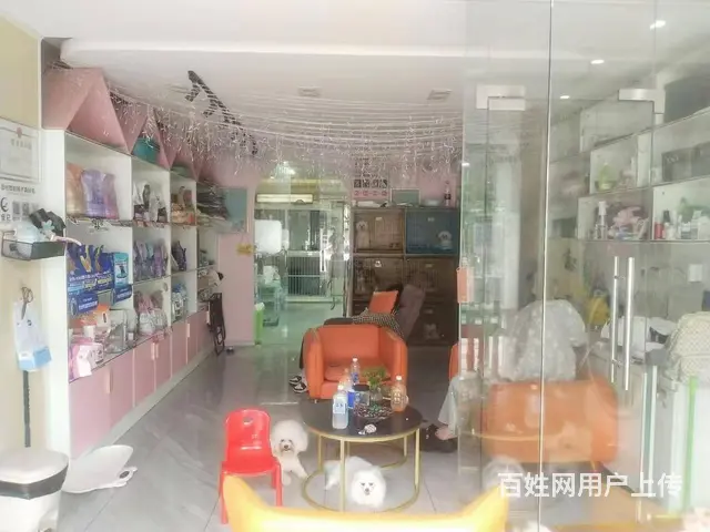 （51旺铺推荐）龙昆南悦城135平宠物店转让 - 图片 7