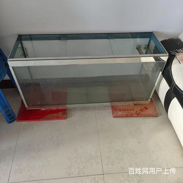 鱼缸 - 图片 3
