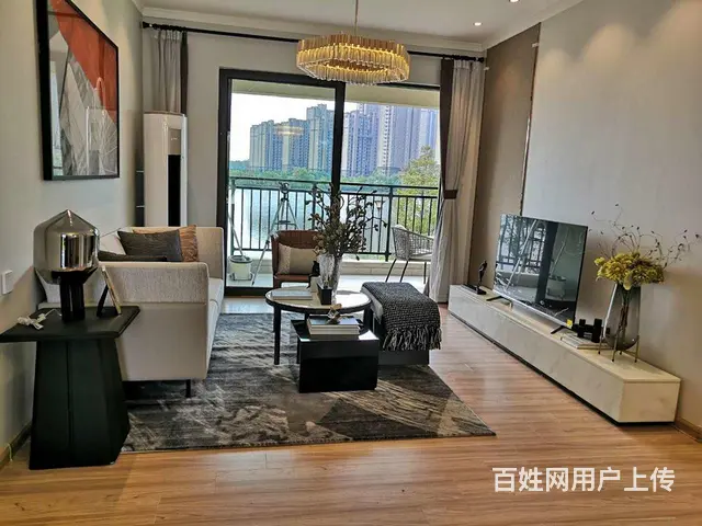 首付十几万买三室临湖花园洋房，南北通透三开间朝南采光好 - 图片 3