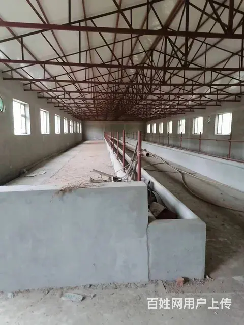 出租或共同经营养殖 - 图片 3