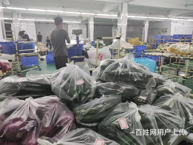 广州食堂食材配送公司，全程冷链配送，食材新鲜准时达 - 图片 1