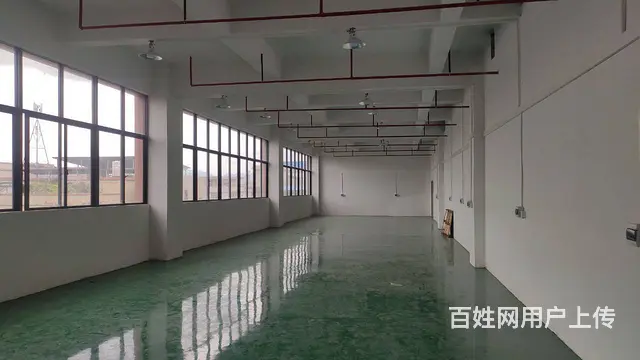 出租澄江工业区厂房 - 图片
