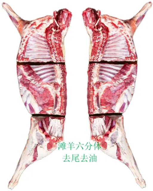 羊肉串  盐池滩羊，难得一尝 - 图片 9