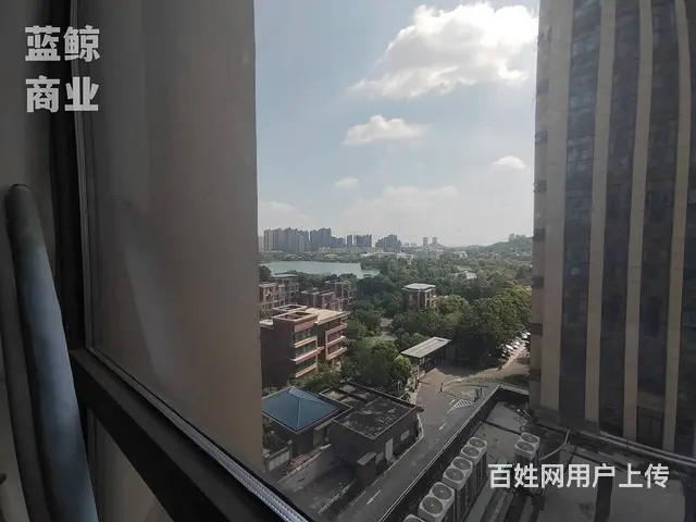 金龙湖公馆50平看全景金龙湖纯办公出租欢迎看房 - 图片 3