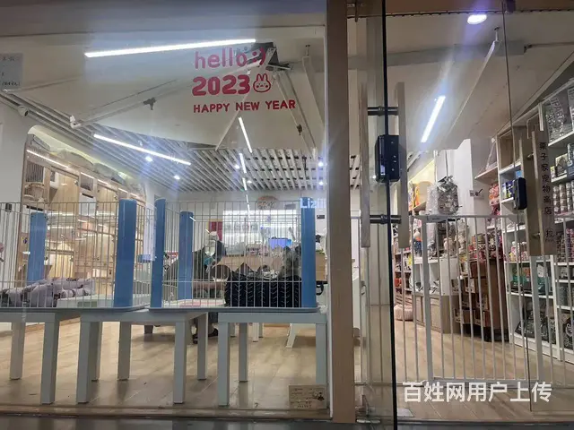 下城东新银泰商圈自带引流有固定群体宠物店转让 - 图片 2