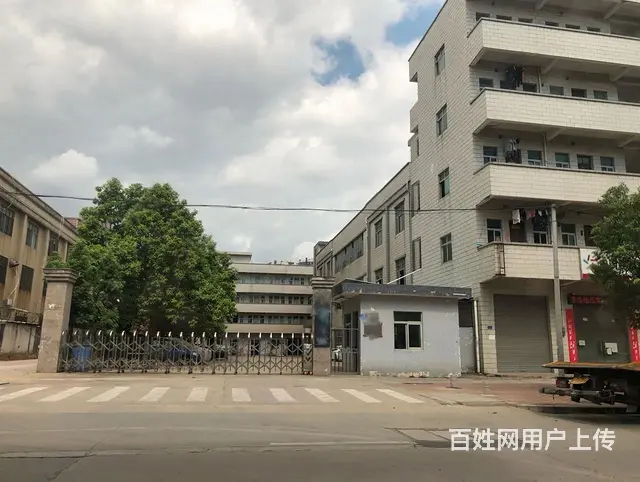 国有红本小独院厂房出售，台湾人年纪大退休回台 - 图片 1