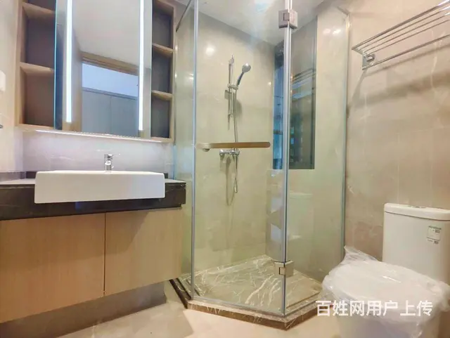 钱江世纪城 南向采光好 次新小区 电梯房 双卫生间 精装好房 - 图片 3