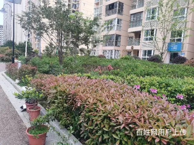 龙城国际快递店转让 - 图片 7