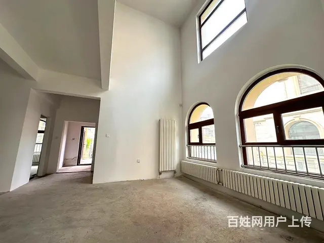 特推！群力玫瑰湾别墅边户  带30米花园 带车库包手续 - 图片 8