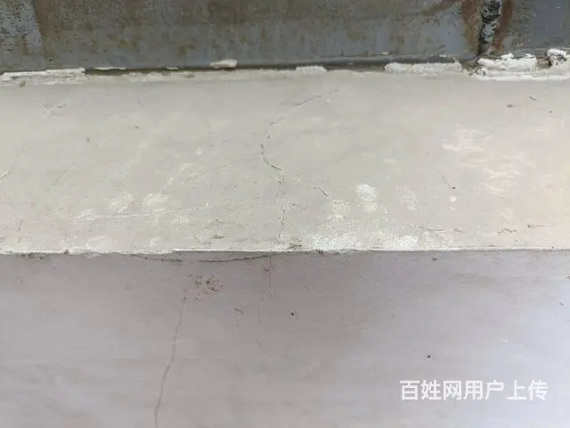 商丘专业找猫寻狗宠物团队商丘专业寻宠团队 - 图片 1