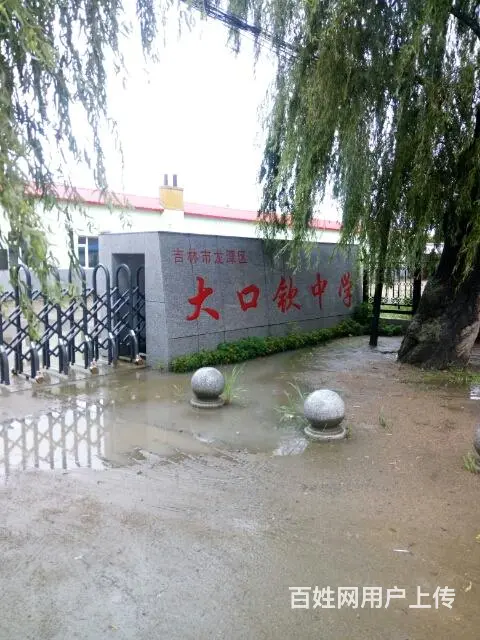 大口钦龙钦家园 54平米 2楼毛坯房未进户 - 图片 2