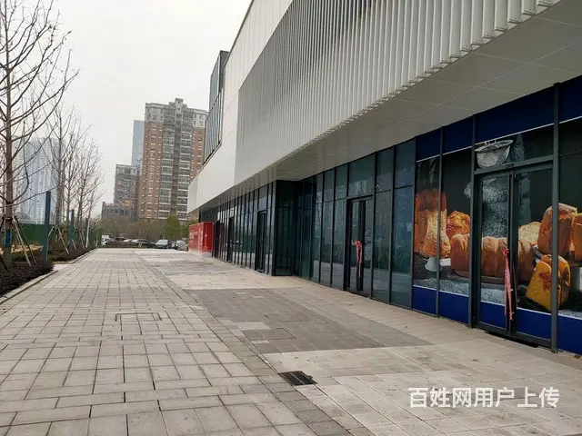 4号线罗家港 实图实价租房公寓 近徐家棚 徐东 岳 - 图片 10