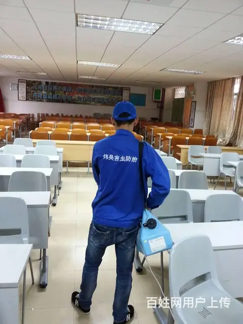 清远除甲醛、净化空气、灭虫，灭鼠，24小时上门服务 - 图片 5