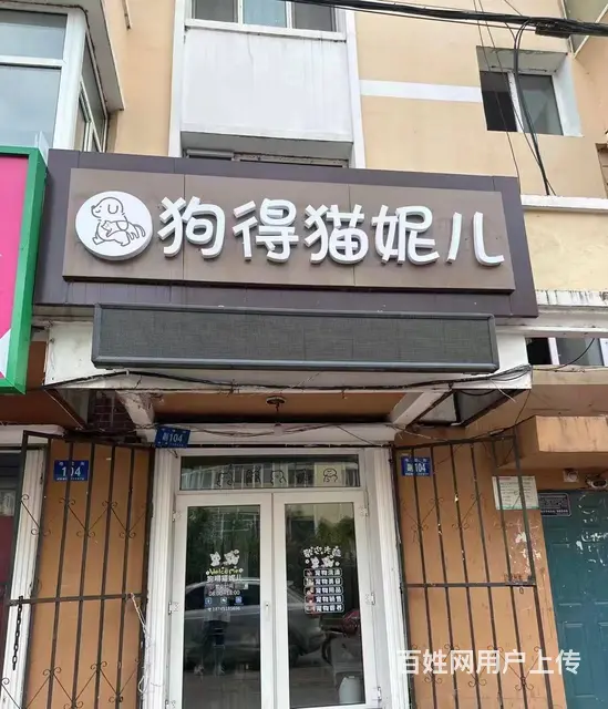 道里宠物店出兑 宠物用品商铺转让 - 图片 1
