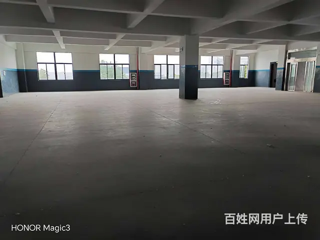 碧溪沿江开发区32000平方标准厂房出租，场地大，环境优美。 - 图片 3